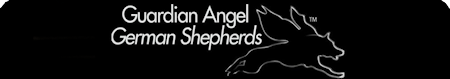  Guardian Angel Shepherds