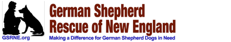 German Shepherd Rescue of New England