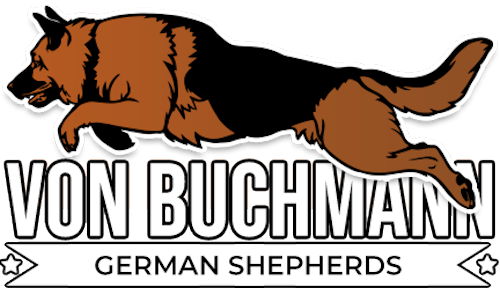 Von Buchmann German Shepherds