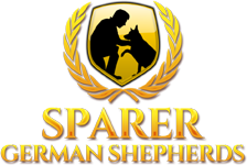 Sparer German Shepherd Breeders