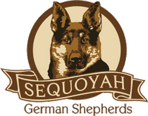 Sequoyah German Shepherds