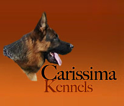 Carissima Kennels 