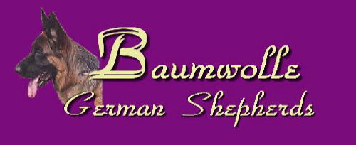 Baumwolle German Shepherds