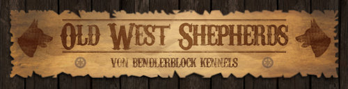 Old West Shepherds 