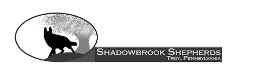 Shadowbrook Shepherds