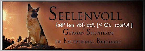 Seelenvoll German Shepherds
