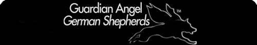 Angelic German Shepherds