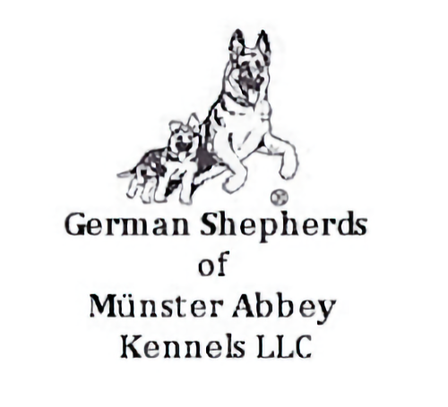 German Shepherds of Munster Abbey 