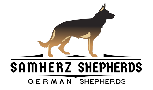 Samherz Shepherds German Shepherds
