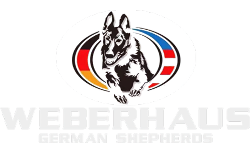Weberhaus German Shepherds