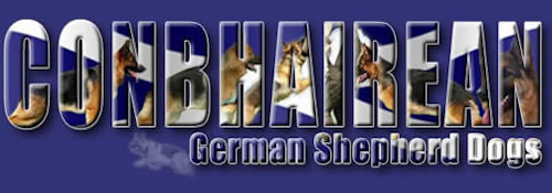 Conbhairean German Shepherd Dogs