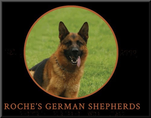 Roche German Shepherds