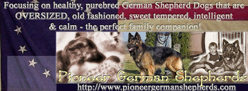 Pioneer German Shepherds