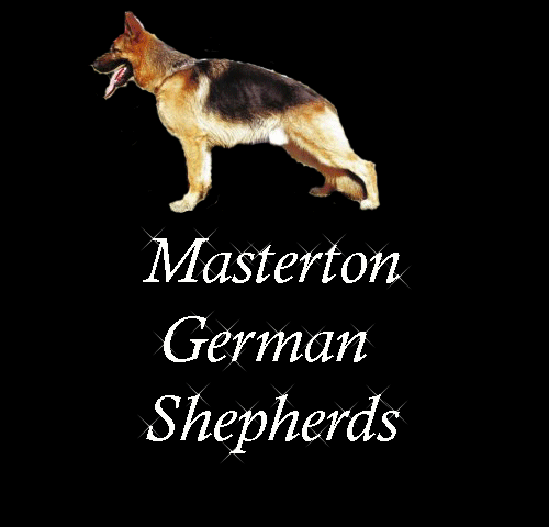 Masterton German Shepherds 