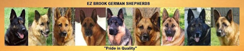  E-Z Brook German Shepherds