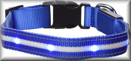 GoDoggie-GLOW - NEW USB Rechargeable LED Dog Safety Collar 