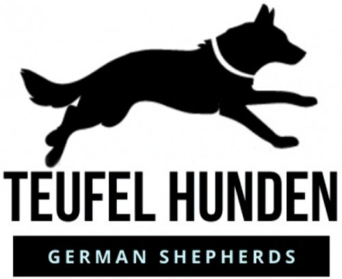 Teufel Hunden German Shepherds