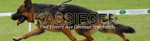 Kassieger German Shepherds