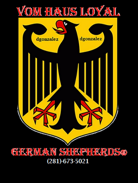 Vom Haus Loyal German Shepherds