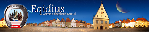 Eqidius Kennel of German Shepherds