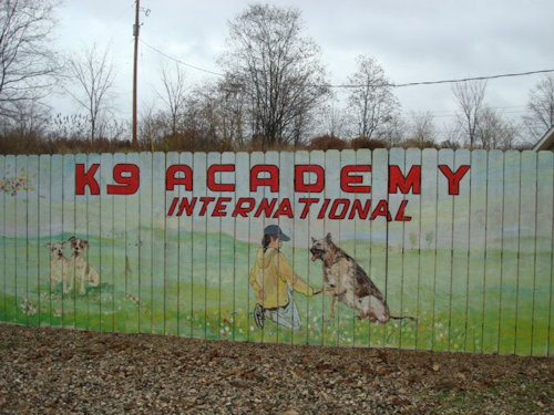K9 Academy International