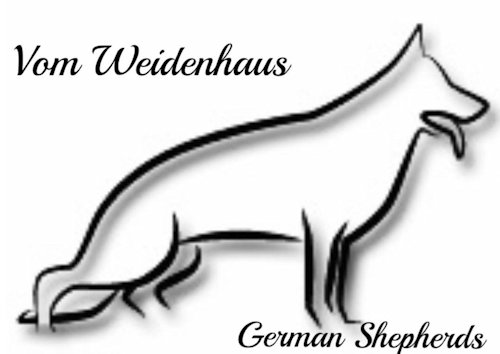  Vom Weidenhaus German Shepherds