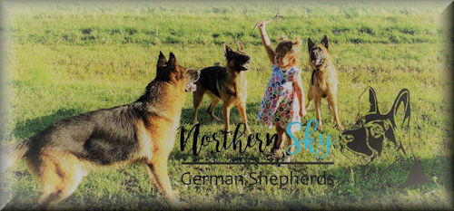 Northern Sky German Shepherds
